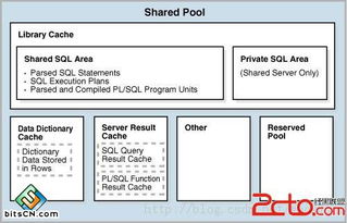 Oracle 11g OCP认证（1Z0-052）解析 2013年9月14日考试重复解析活动与网络信息安全软件开发